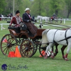 Kladruby 2019 - neděle - finále