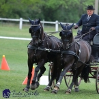 Kladruby 2019 - neděle - finále