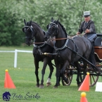 Kladruby 2019 - neděle - finále