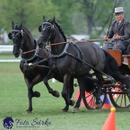 Kladruby 2019 - neděle - finále