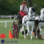 Kladruby 2019 - neděle - finále