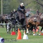 Kladruby 2019 - neděle - finále