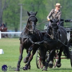 Kladruby 2019 - neděle - finále