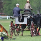 Kladruby 2019 - neděle - finále