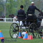 Kladruby 2019 - neděle - finále