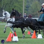 Kladruby 2019 - neděle - finále