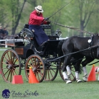 Kladruby 2019 - neděle - finále