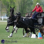 Kladruby 2019 - neděle - finále