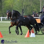 Kladruby 2019 - neděle - finále