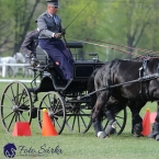 Kladruby 2019 - neděle - finále