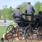 Kladruby 2019 - neděle - finále