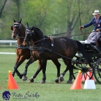 Kladruby 2019 - neděle - finále