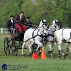 Kladruby 2019 - neděle - finále