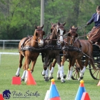 Kladruby 2019 - neděle - finále