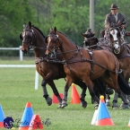 Kladruby 2019 - neděle - finále