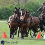 Kladruby 2019 - neděle - finále