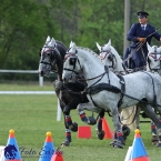 Kladruby 2019 - neděle - finále