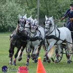 Kladruby 2019 - neděle - finále