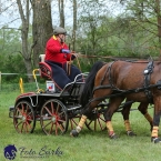 Kladruby 2019 - sobota - maraton