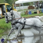 Kladruby 2019 - sobota - maraton