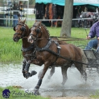 Kladruby 2019 - sobota - maraton