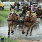 Kladruby 2019 - sobota - maraton