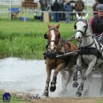 Kladruby 2019 - sobota - maraton