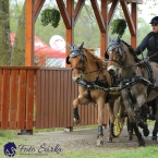 Kladruby 2019 - sobota - maraton