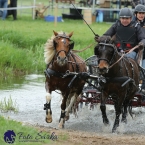 Kladruby 2019 - sobota - maraton