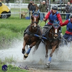 Kladruby 2019 - sobota - maraton