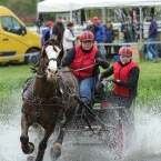 Kladruby 2019 - sobota - maraton