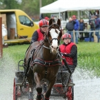 Kladruby 2019 - sobota - maraton