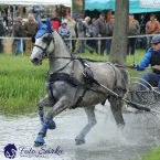 Kladruby 2019 - sobota - maraton