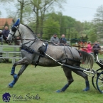 Kladruby 2019 - sobota - maraton