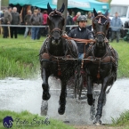 Kladruby 2019 - sobota - maraton