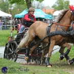 Kladruby 2019 - sobota - maraton