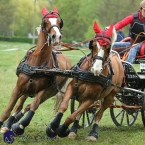 Kladruby 2019 - sobota - maraton