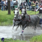 Kladruby 2019 - sobota - maraton