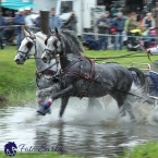 Kladruby 2019 - sobota - maraton