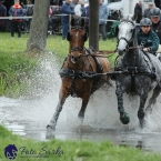 Kladruby 2019 - sobota - maraton