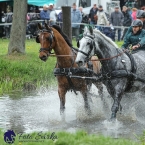 Kladruby 2019 - sobota - maraton