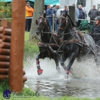 Kladruby 2019 - sobota - maraton