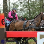 Kladruby 2019 - sobota - maraton