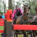 Kladruby 2019 - sobota - maraton