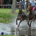 Kladruby 2019 - sobota - maraton