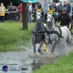 Kladruby 2019 - sobota - maraton