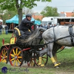 Kladruby 2019 - sobota - maraton