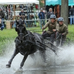 Kladruby 2019 - sobota - maraton