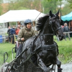 Kladruby 2019 - sobota - maraton