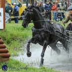 Kladruby 2019 - sobota - maraton